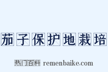 茄子保护地栽培是什么意思的图片